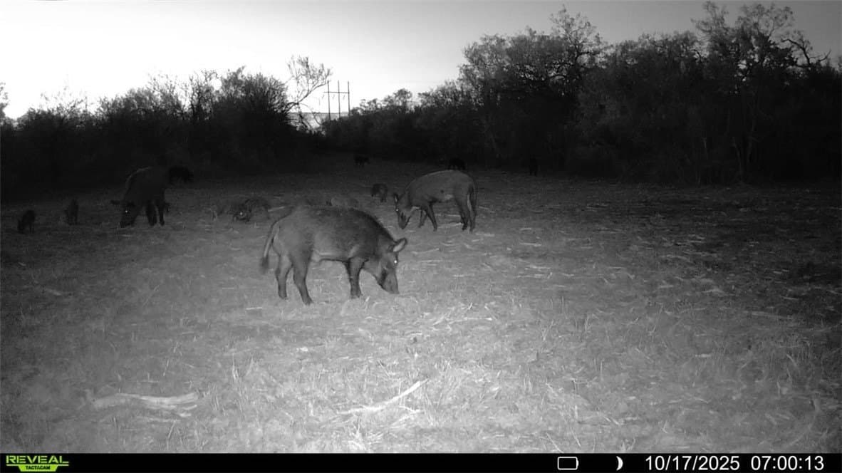 11 acres in Karnes County - photo 14