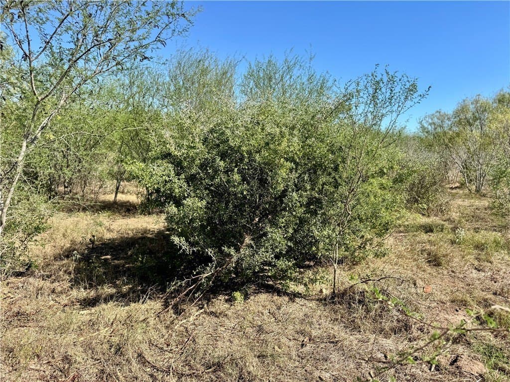 11 acres in Karnes County - photo 37