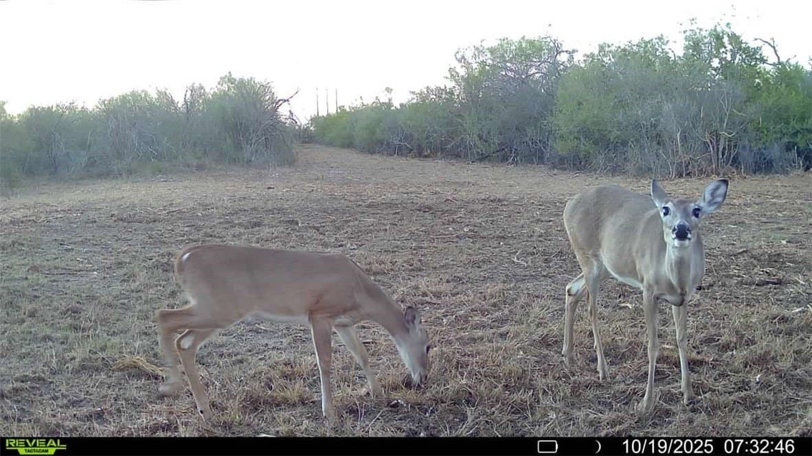 11 acres in Karnes County - photo 30