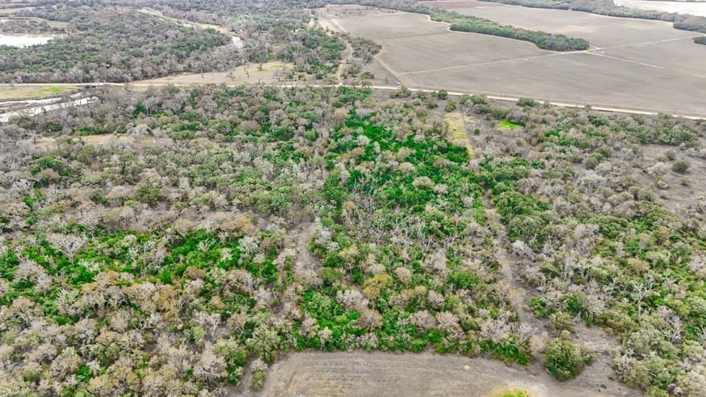 14 acres in Texas County - photo 7