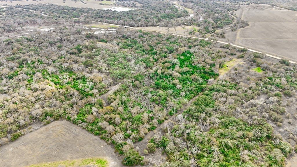 14 acres in Texas County - photo 6