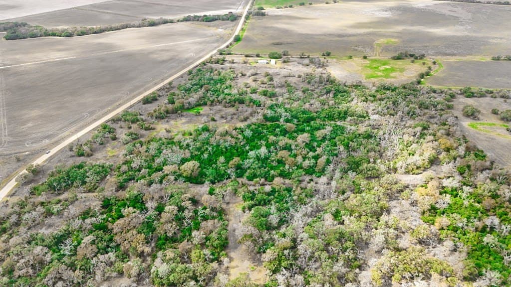 14 acres in Texas County - photo 8
