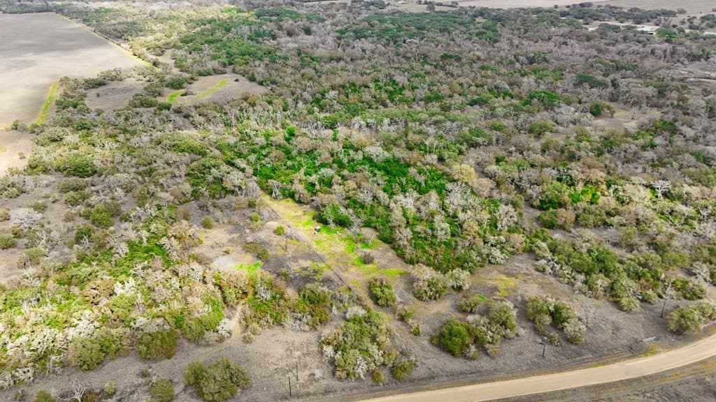 14 acres in Texas County - photo 4