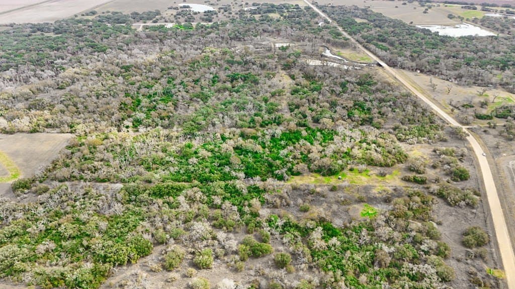 14 acres in Texas County - photo 5