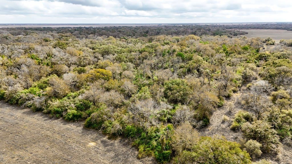 14 acres in Texas County - photo 14