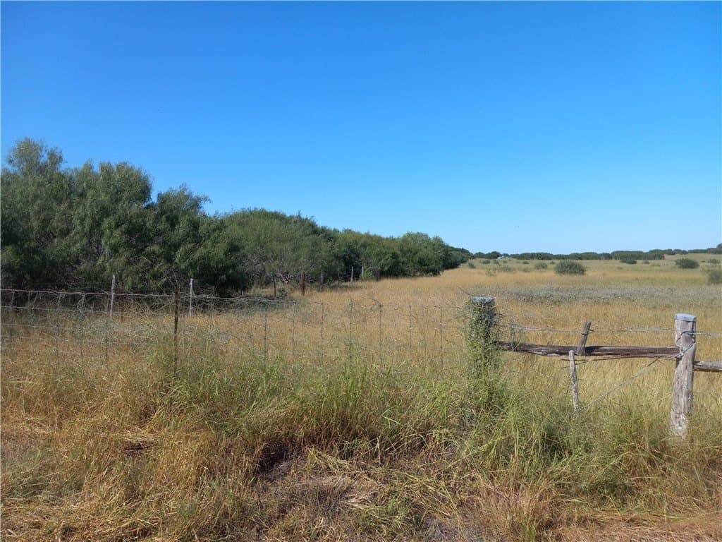 39.41 acres in Kleberg County - photo 16