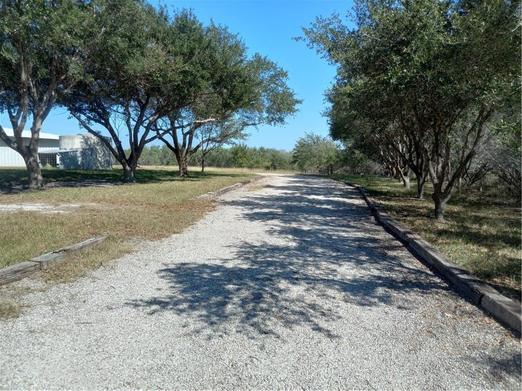 39.41 acres in Kleberg County - photo 3