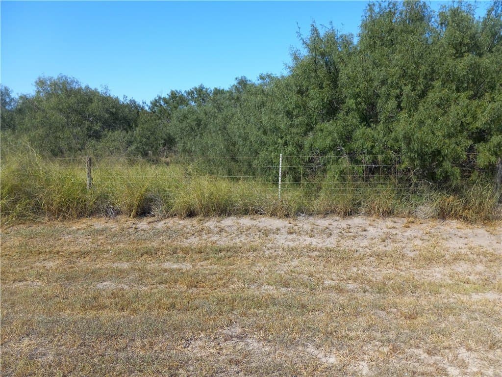 39.41 acres in Kleberg County - photo 21