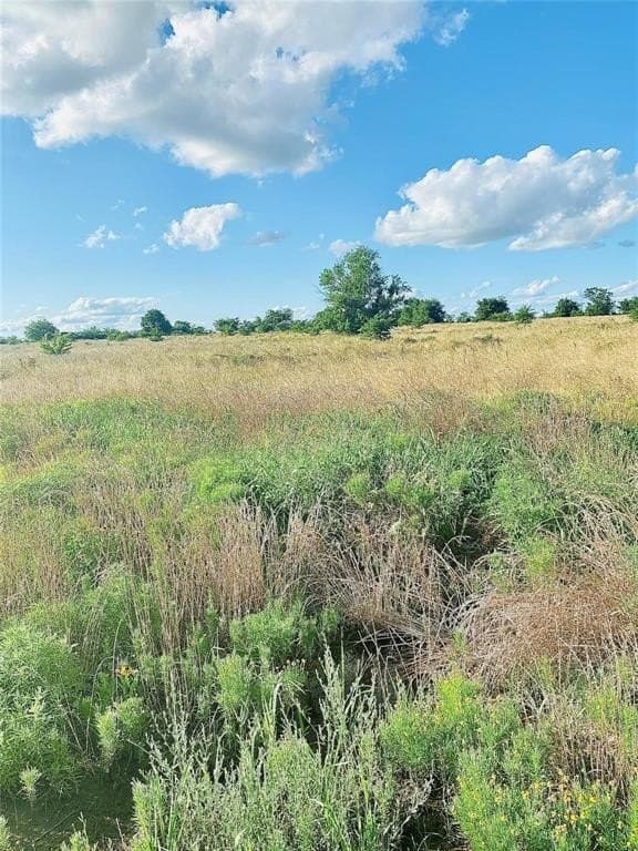 10.38 acres in Hopkins County - photo 11