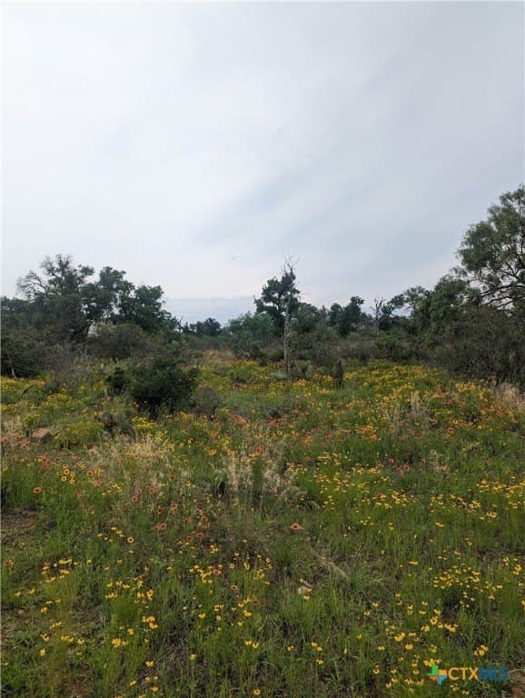 4 acres in Llano County - photo 30