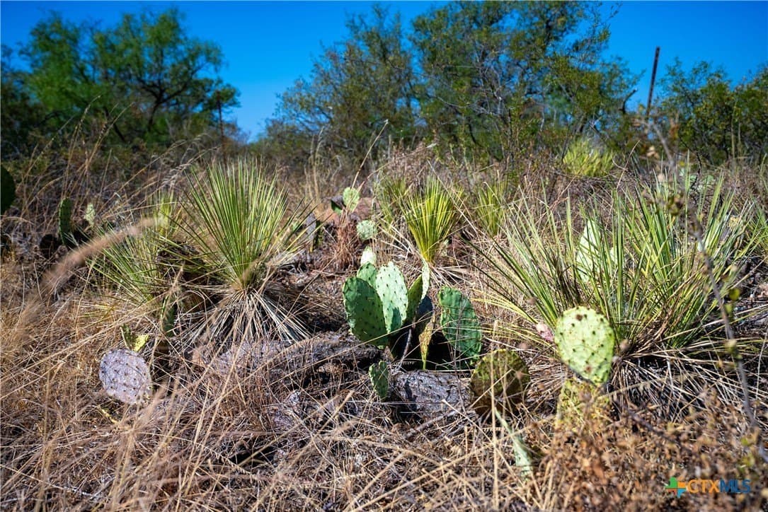 4 acres in Llano County - photo 20