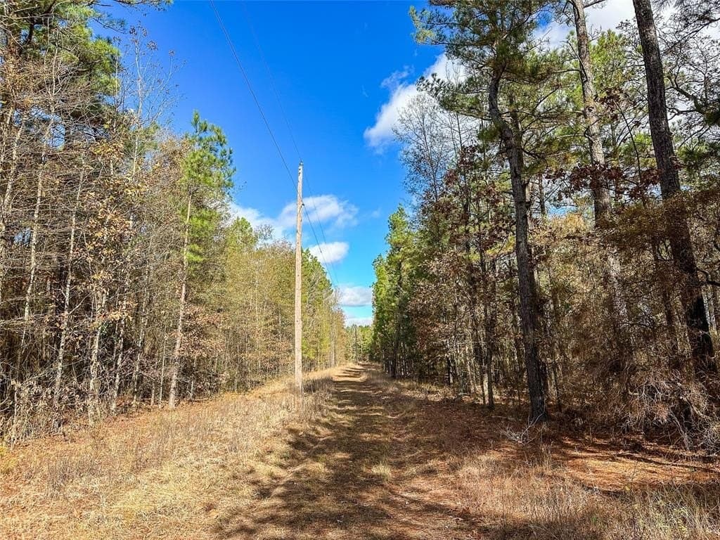 174.5 acres in Red River County - photo 4