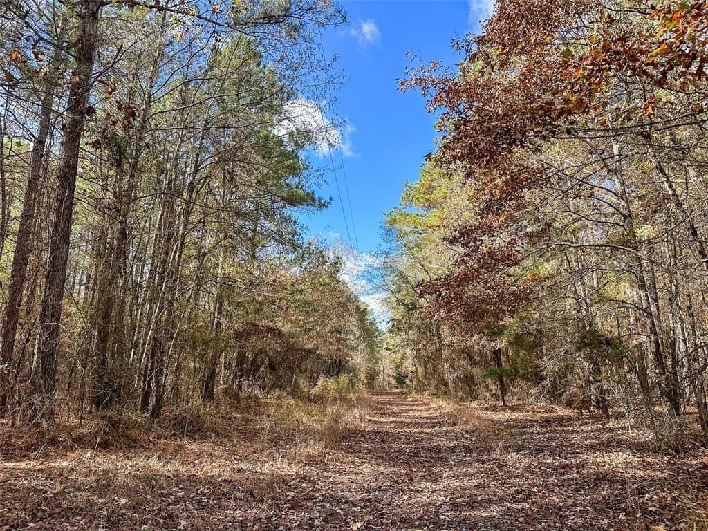 174.5 acres in Red River County - photo 5
