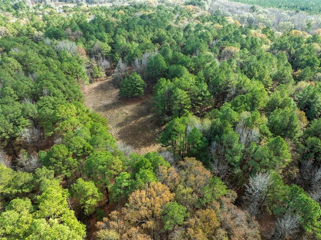 174.5 acres in Red River County - photo 2