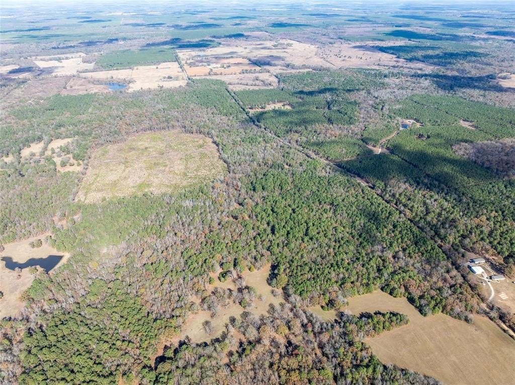174.5 acres in Red River County - photo 10