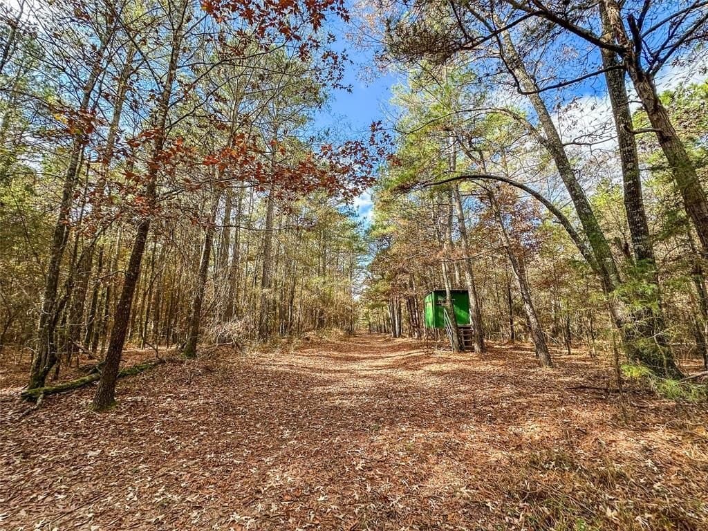 174.5 acres in Red River County - photo 6