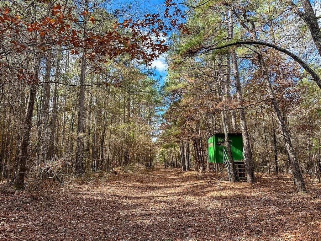 174.5 acres in Red River County - photo 3