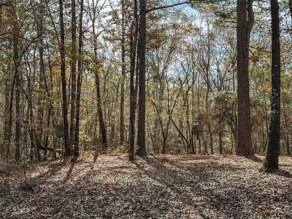 174.5 acres in Red River County - photo 7