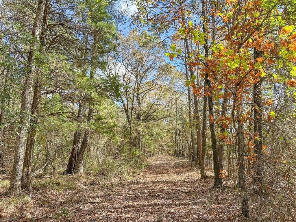 174.5 acres in Red River County - photo 8