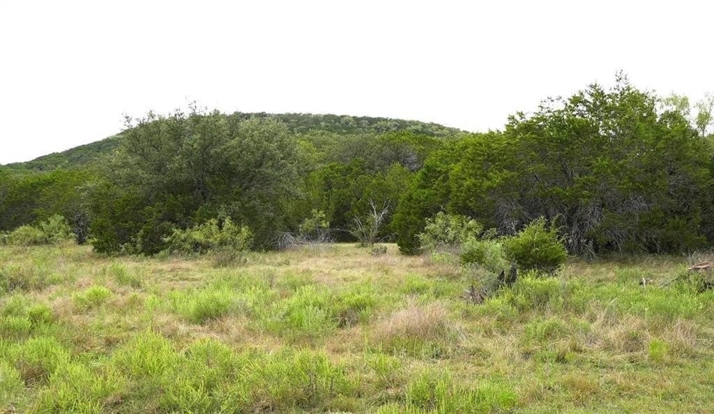 12 acres in Eastland County - photo 7