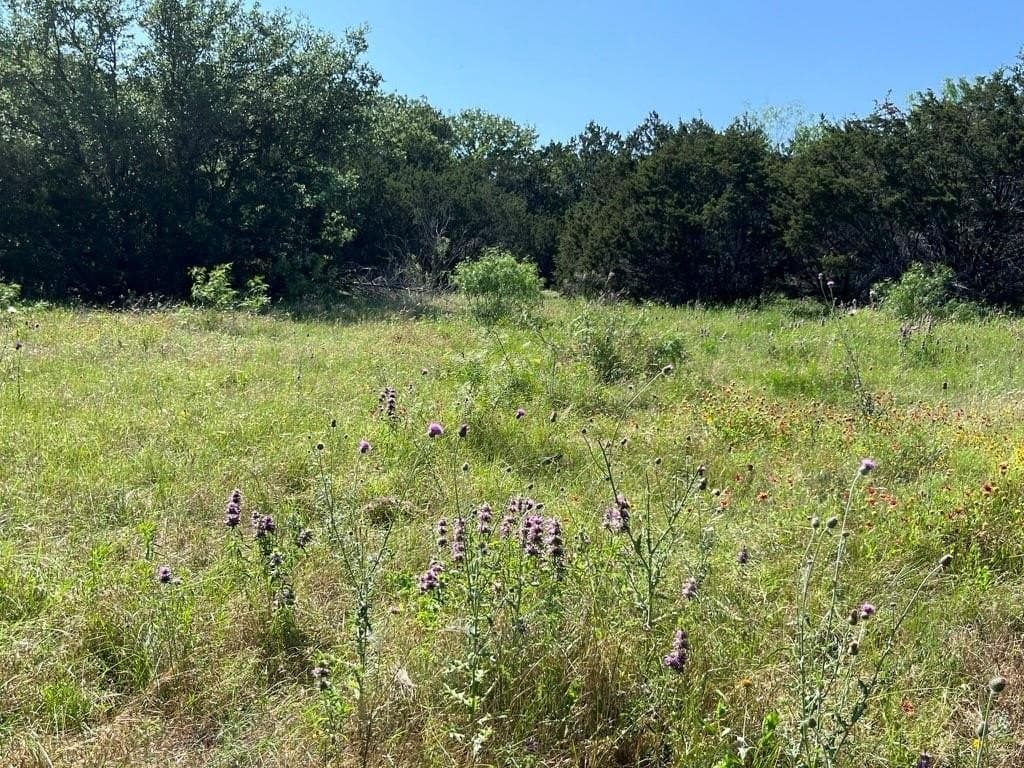 12 acres in Eastland County - photo 10