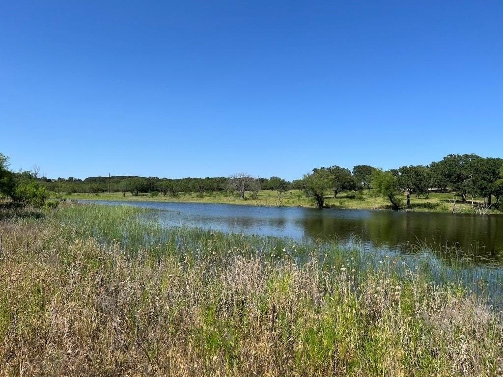 12 acres in Eastland County - photo 6