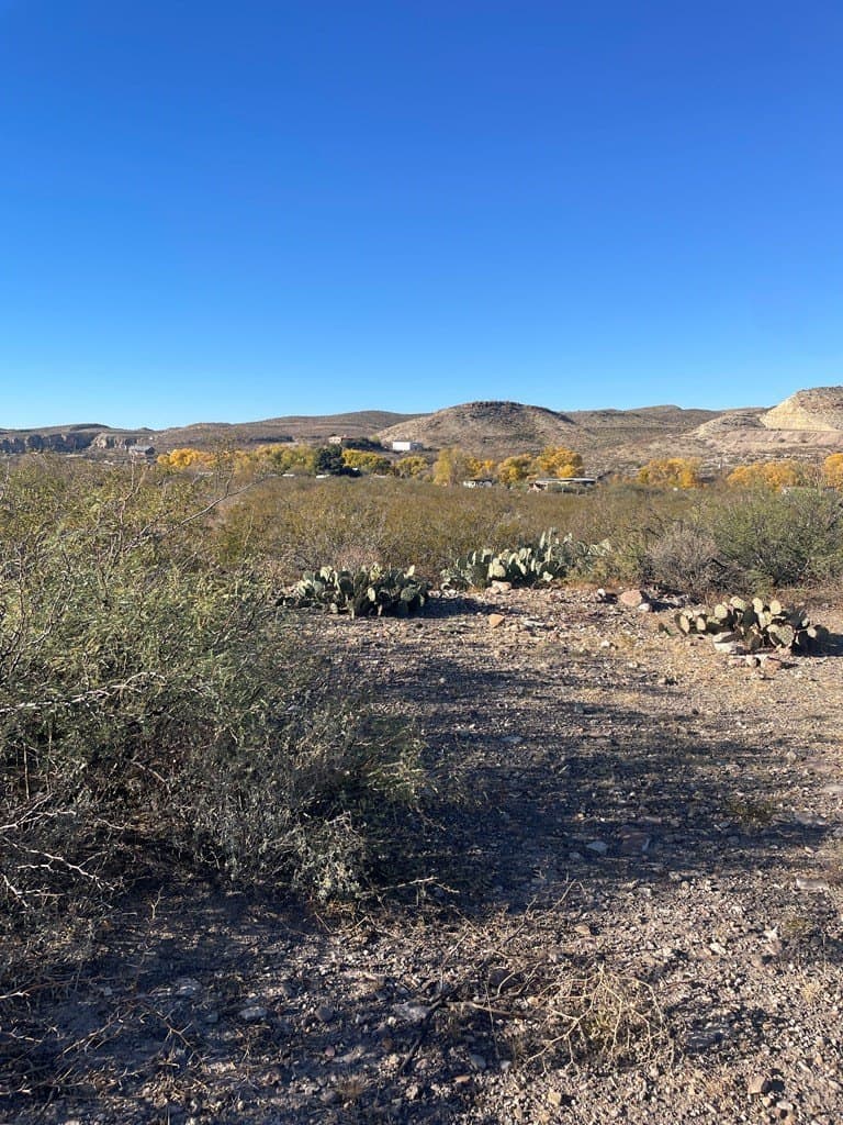 0.29 acres in Presidio County - photo 3