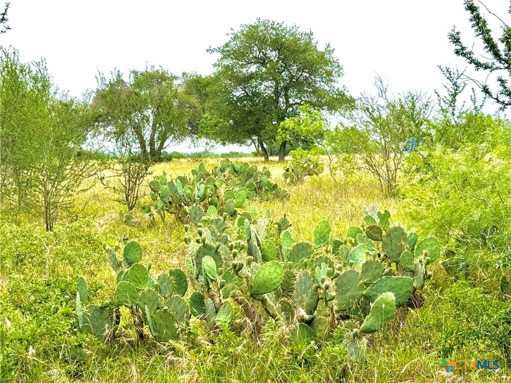 10.35 acres in Gonzales County - photo 11