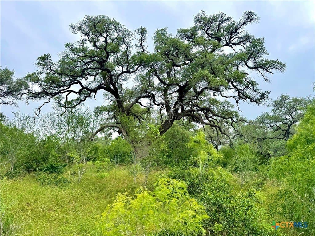 10.35 acres in Gonzales County - photo 7