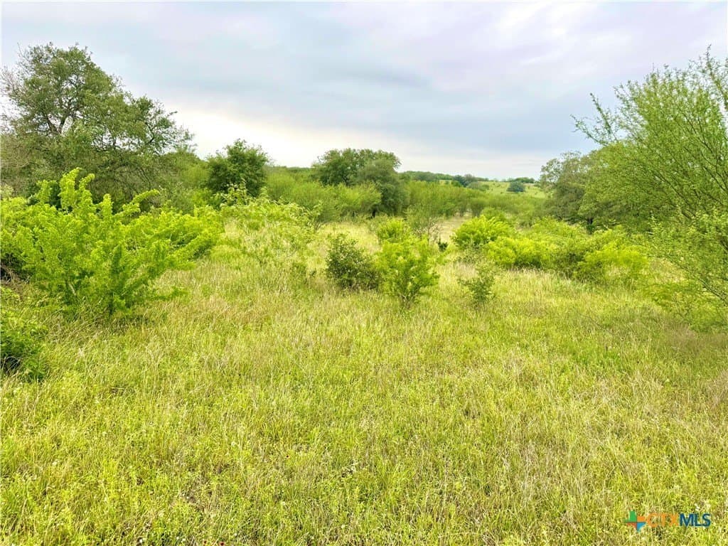 10.35 acres in Gonzales County - photo 5