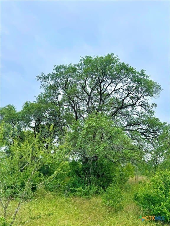 10.35 acres in Gonzales County - photo 6