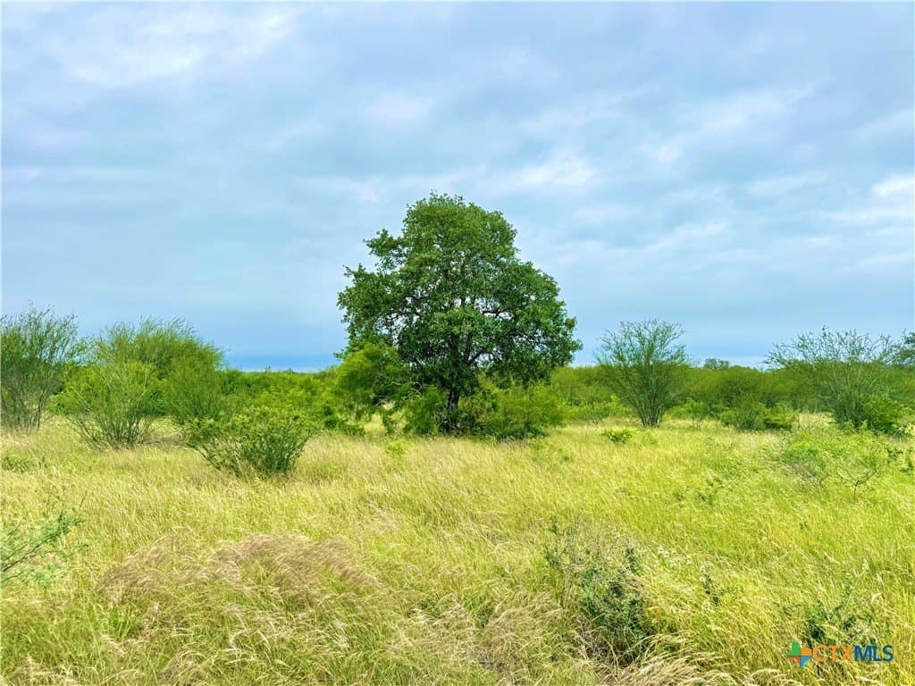 10.35 acres in Gonzales County - photo 4