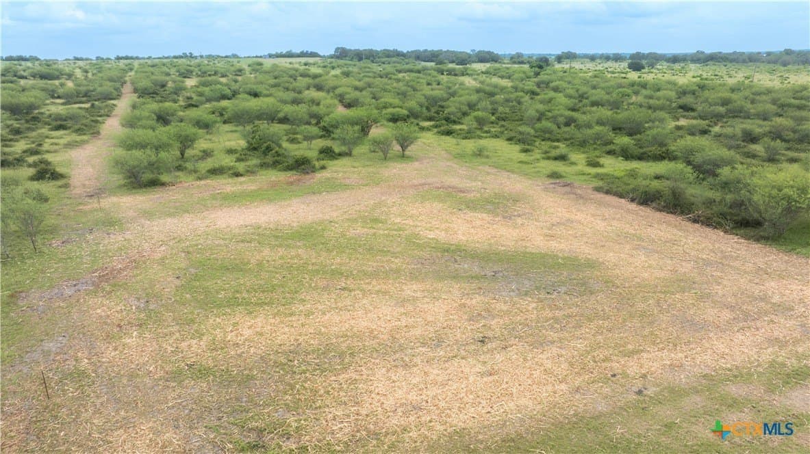 10.01 acres in DeWitt County - photo 8