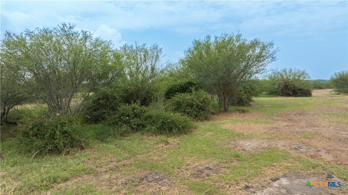 10.01 acres in DeWitt County - photo 13