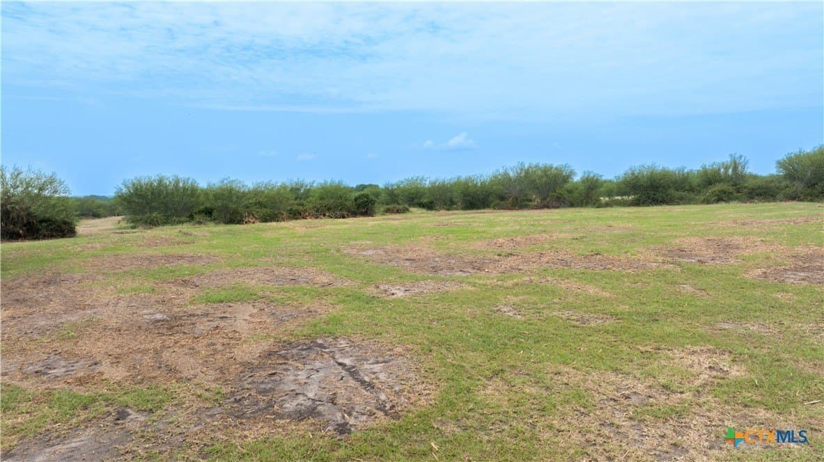 10.01 acres in DeWitt County - photo 12