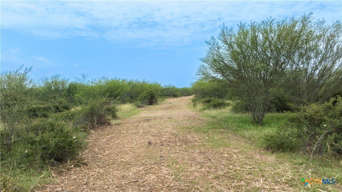 10.01 acres in DeWitt County - photo 10