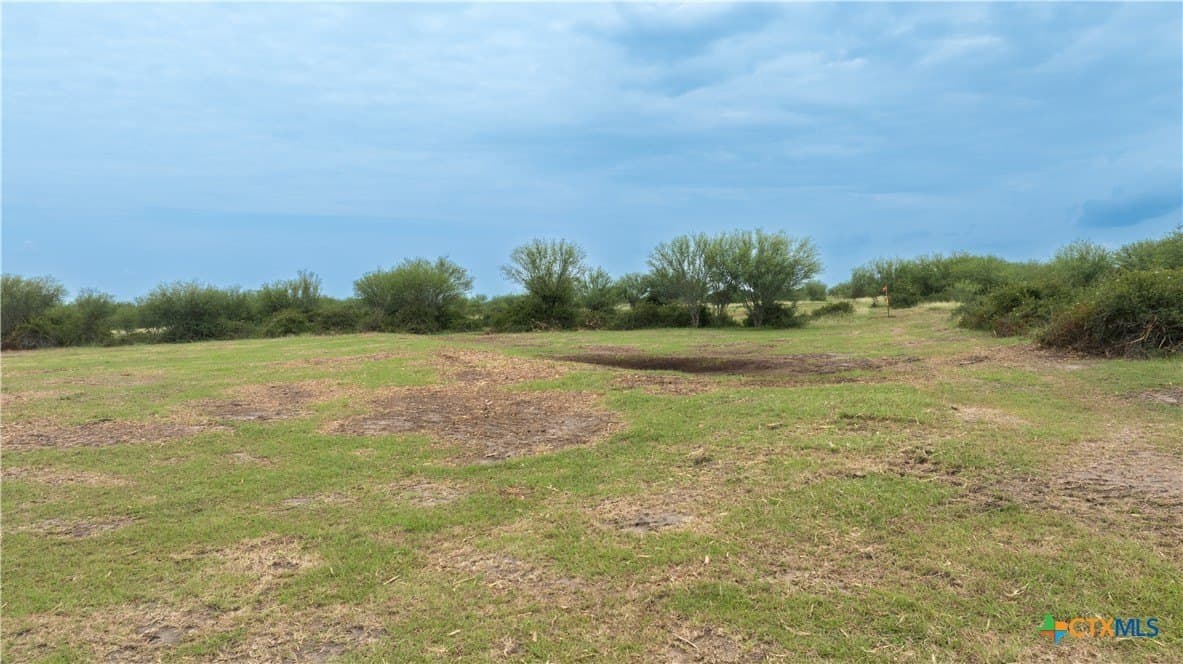 10.01 acres in DeWitt County - photo 11
