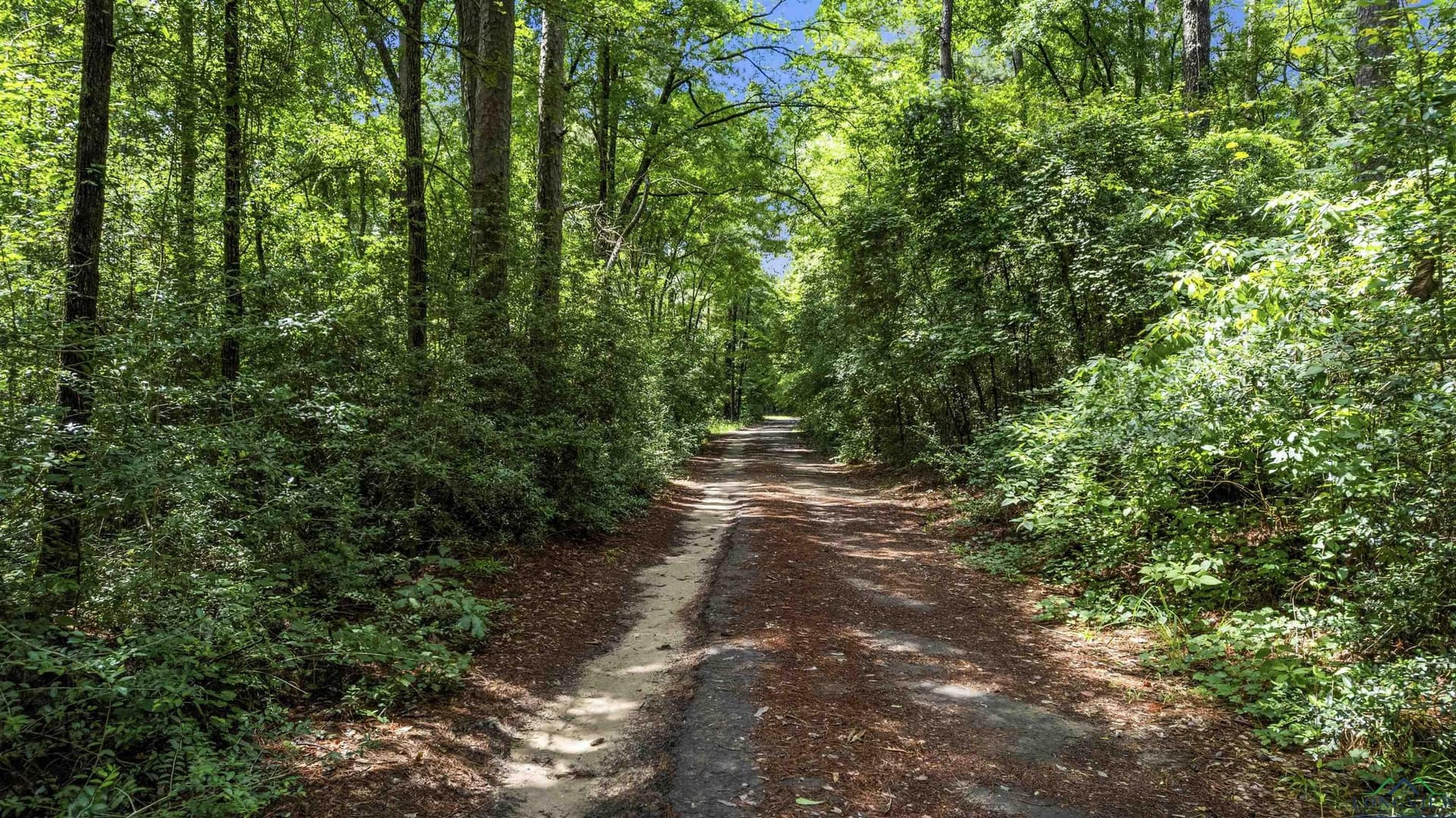 56.5 acres in Gregg County - photo 9