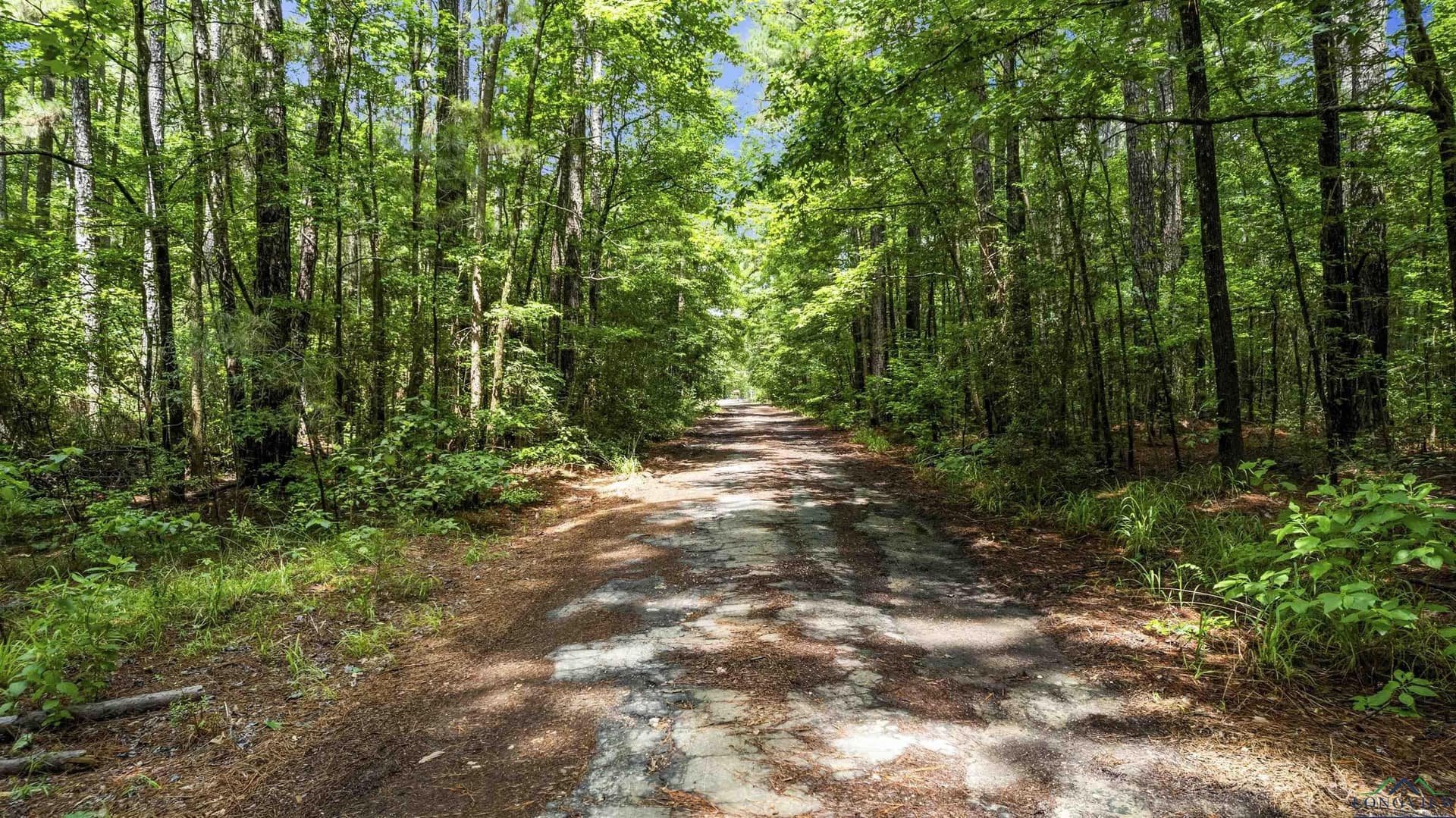 56.5 acres in Gregg County - photo 11