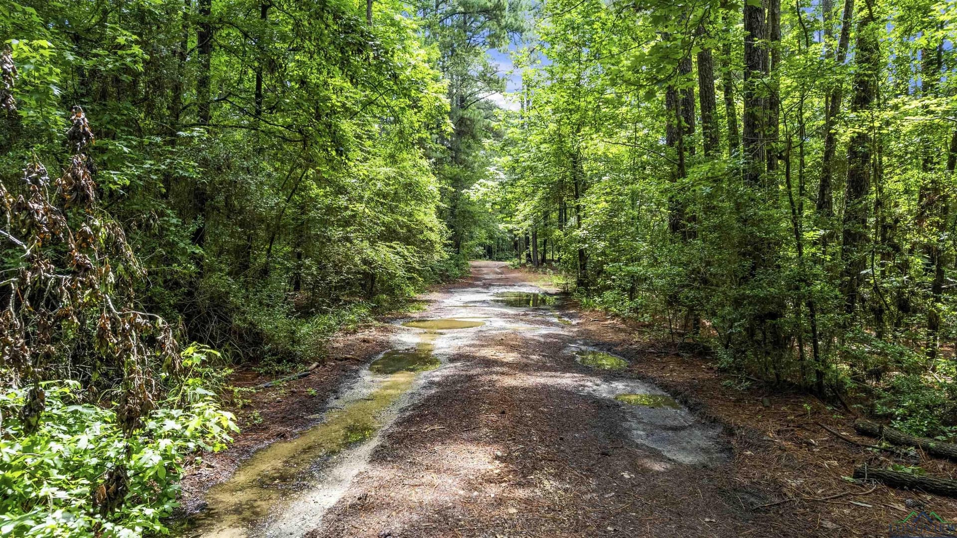 56.5 acres in Gregg County - photo 10