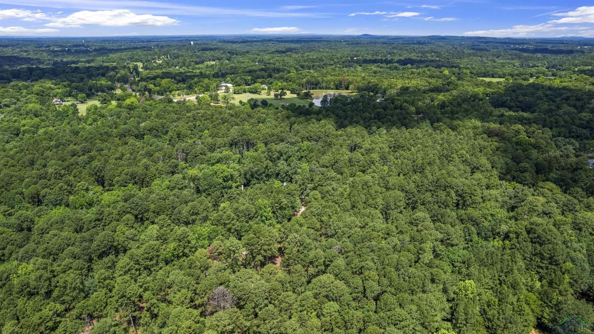 56.5 acres in Gregg County - photo 6