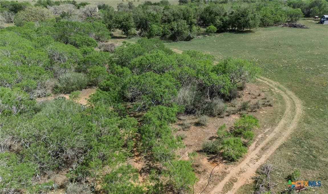 35.36 acres in Guadalupe County - photo 10