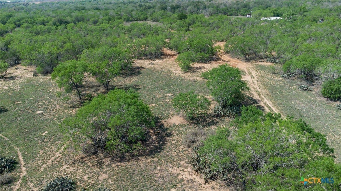 35.36 acres in Guadalupe County - photo 11