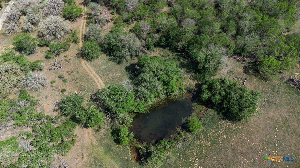 35.36 acres in Guadalupe County - photo 7