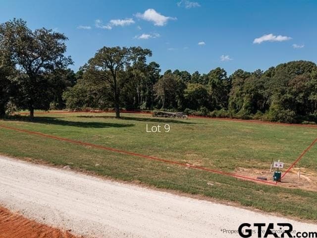 Lot 9 CR 3605