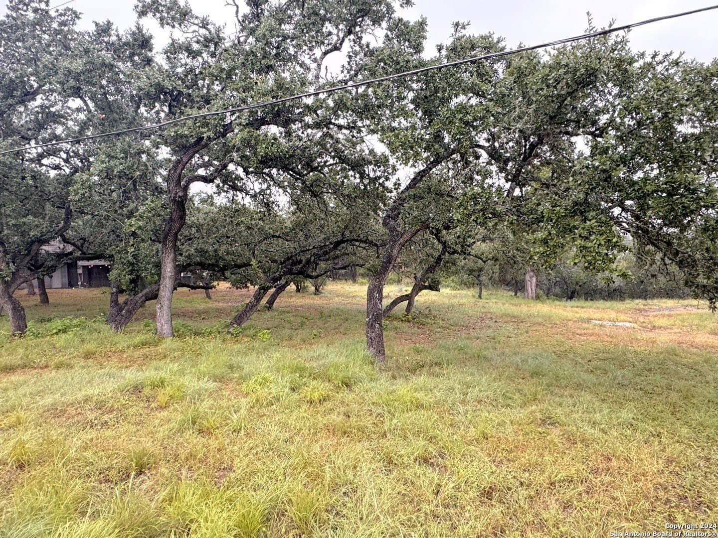 0.26 acres in Comal County - photo 4