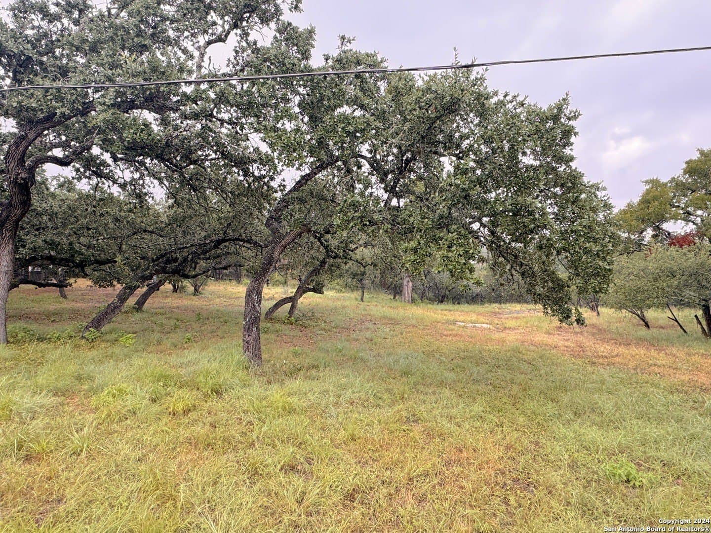 0.26 acres in Comal County - photo 5