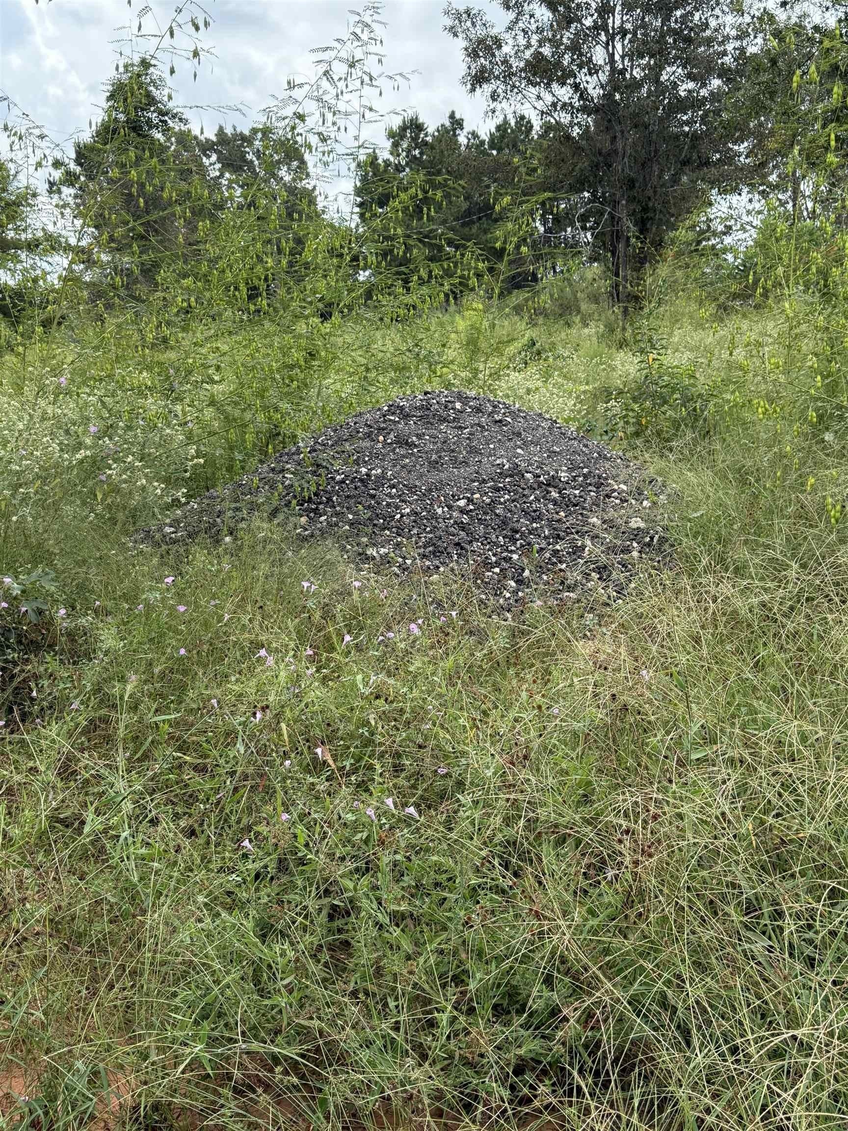 5.02 acres in Rusk County - photo 5