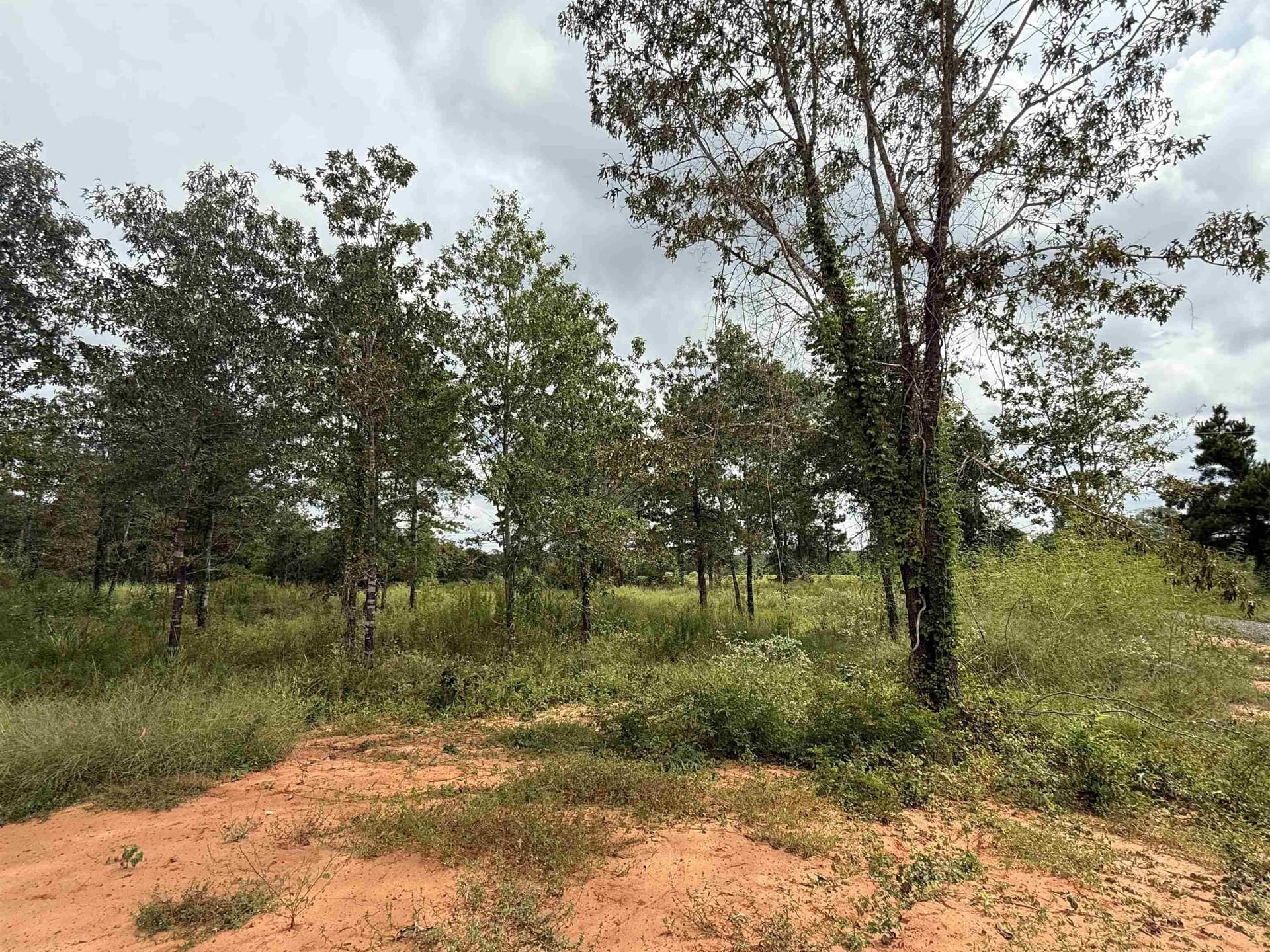 5.02 acres in Rusk County - photo 8