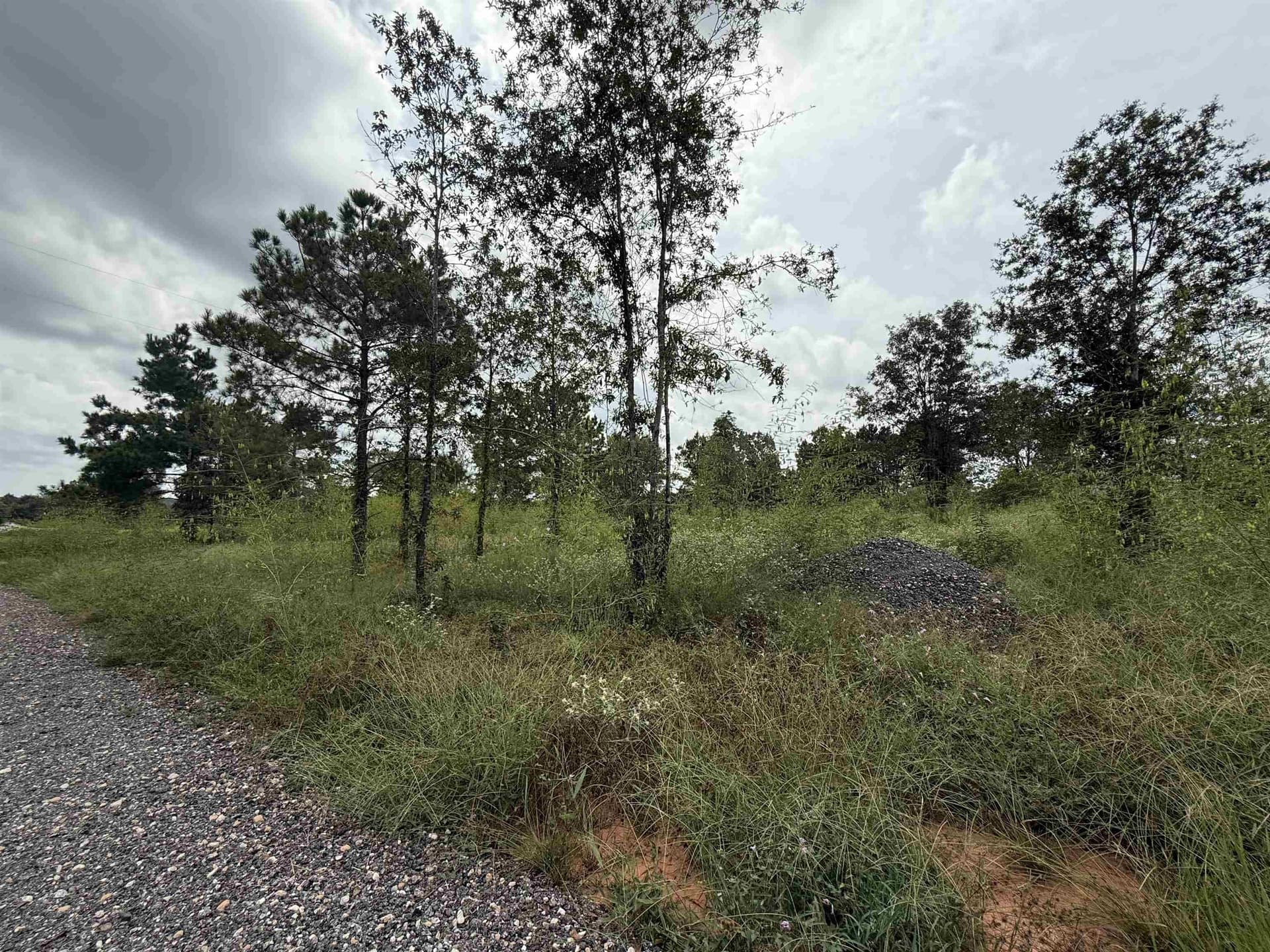5.02 acres in Rusk County - photo 4